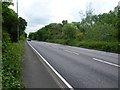 Leatherhead Road, with Rushett Common alongside