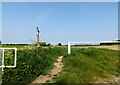 TM4489 : Footpath to the A146 Lowestoft Road by Geographer