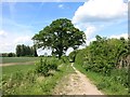 New Close Farm Road