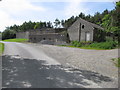 Shelter belt and farm buildings on the Lurgana Road