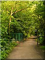 Stanley Bank Bridleway at Glass House Close Wood