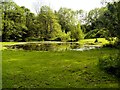 Small Pool at the side of Stanley Bank Bridleway