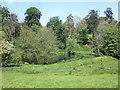 Ornamental lake, Chargot Estate