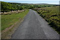 Minor road near Sheepstor