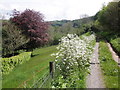 Track to Lower Court Farm