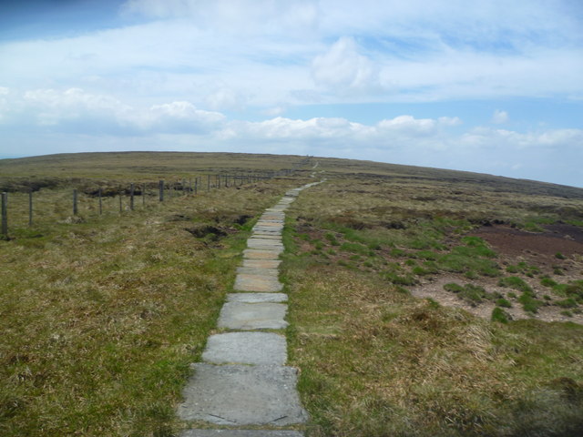 Path on The Cheviot