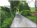 Lurgana Road descending towards the crossroads on the Carrickgallogly Road