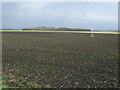 Field, Barn House Farm