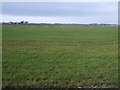 Farmland, Holt Farm