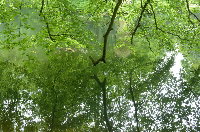 Reflected trees in the "River Styx" at Stowe