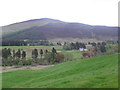 A view of Mount Blair from the A93 at Clach-na-Coileach