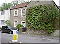 An old house in Cowl Street