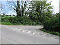 Lane linking Carrickananny Road with the B134 (Tullyah Road)