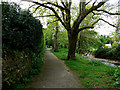 Footpath beside the River Sid