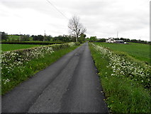 H5069 : Lisboy Road, Donaghanie by Kenneth  Allen