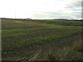 Farmland near Darrahill