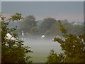 Lydiate Fields in the Mist