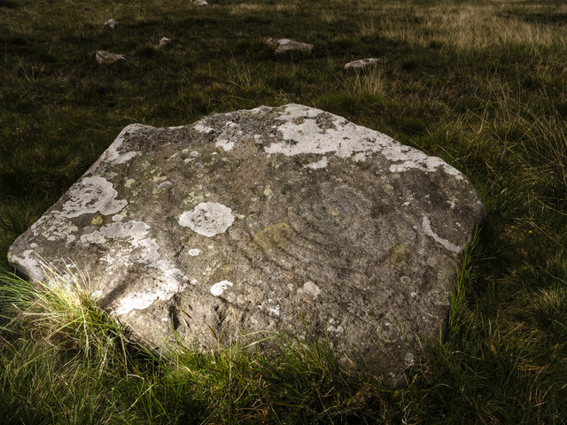 Cup and Ring marked rock, Cambret Hill