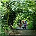 Course of old railway at Compton, Wolverhampton