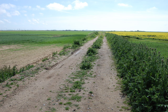 Farm track on Romney Marsh