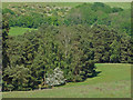 Dry valley below the Hog