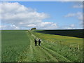 SU2178 : Walkers on the Ridgeway - part of the Aldbourne Circular Route by Gareth James