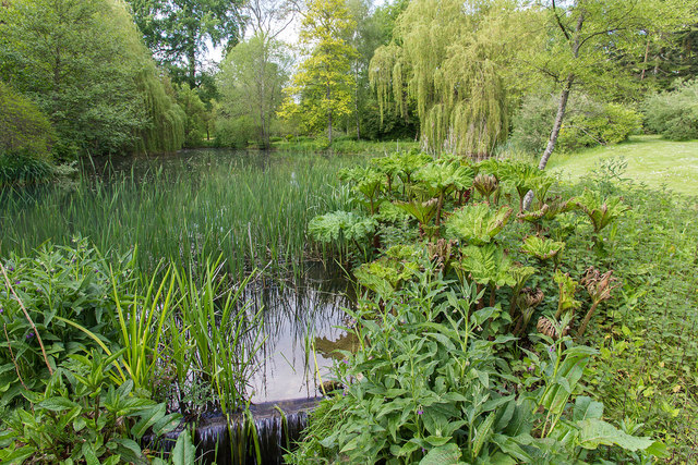 The Willow Pond, Thenford Arboretum © David P Howard cc-by-sa/2.0 ...