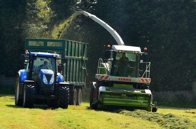 Silage harvesting at Newcott, Devon