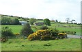 Farm above the A25 (Dublin Road)