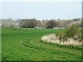 Farmland and woodland north of The Chase Way