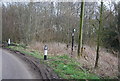 Footpath into Boarfield Wood