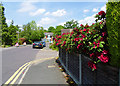 Burleigh Road, Frimley, looking north