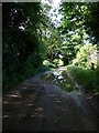 While you can (11): The "Back Road" passing Upper Abbey Farm