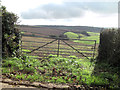 Arable & pasture land. northwest of Lower Norton