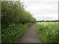 The Doncaster Greenway