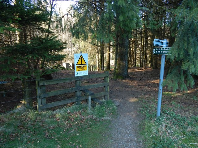 Start of a path through the Squirrel Wood