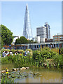 Picnic in Red Cross Gardens 