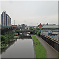 Nottingham Canal: gloom and geese