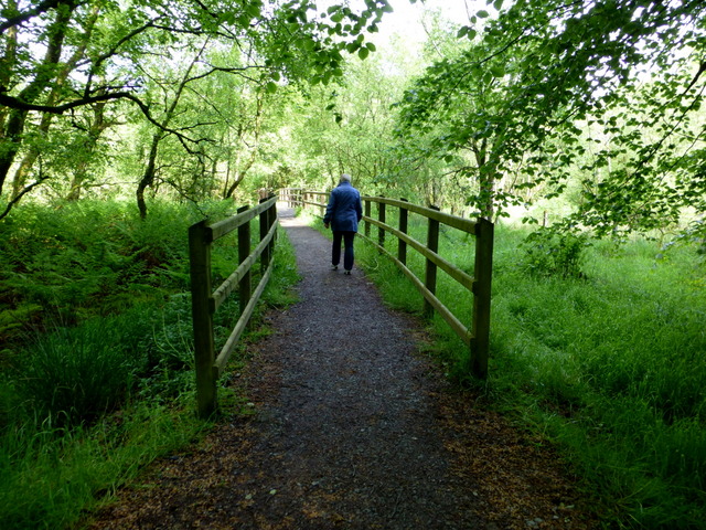 Path and footbridge, Loughmacrory