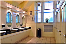 L9884 : County Mayo - Westport House  - Basement - Women's Modern Toilets by Suzanne Mischyshyn