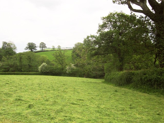 Field above the Bidwell Brook