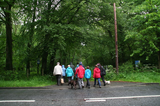 Lincolnshire Wolds Walking Festival: walkers entering Dixon Wood