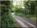 Bridge over a stream at Lower Corscombe