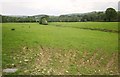 Field near Higher Allerton