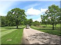 Dukes Lane, Windsor Great Park