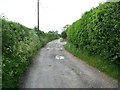 Drove Lane, looking north