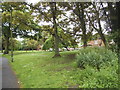 Green at the junction of Marsh Lane and Marsh Close