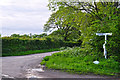 Mid Devon : Country Lane