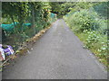 Path through Lawrence Street Allotments