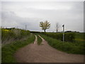 Track near Poplar Farm